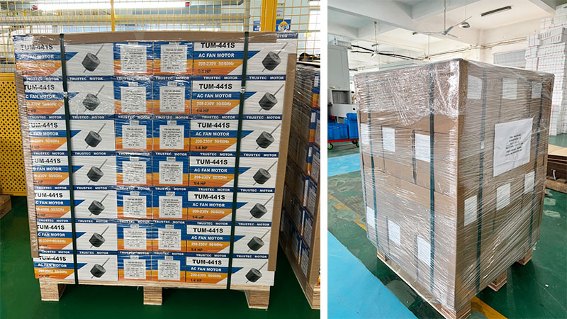 motors packaging 2